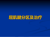 屈肌腱分区及治疗课件