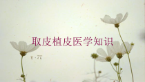 取皮植皮医学知识培训课件