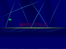 龋病医学知识培训课件