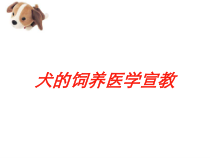 犬的饲养医学宣教培训课件