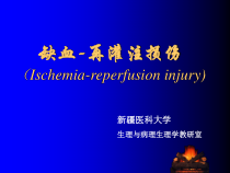 缺血-再灌注损伤精美医学课件