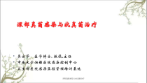深部真菌感染与抗真菌治疗课件