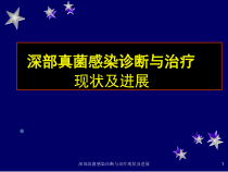 深部真菌感染诊断与治疗现状及进展课件