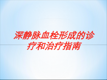 深静脉血栓形成的诊疗和治疗指南培训课件
