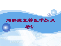 深静脉置管医学知识培训培训课件