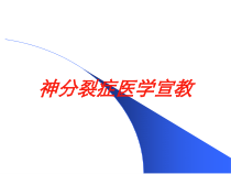 神分裂症医学宣教培训课件