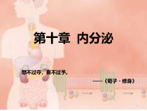 生理学版内分泌临床医学人卫版课件