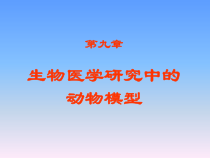 生物医学研究中的动物模型2课件