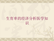 生育率的经济分析医学知识培训课件