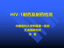 十艾滋病抗病毒治疗的耐药检测方法-课件