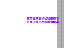 实用临床医学检验形态学之尿沉渣形态学检查图谱课件