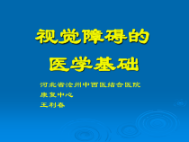 视觉障碍的医学基础课件