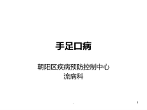 手足口病医学会课件