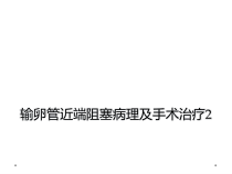 输卵管近端阻塞病理及手术治疗2课件