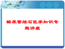 输尿管结石医学知识专题讲座培训课件