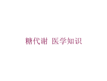 糖代谢-医学知识培训课件