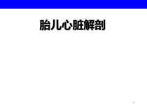 胎儿心脏解剖医学课件
