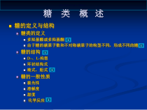 糖与糖代谢主题医学知识课件
