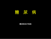糖尿病治疗指南课件