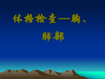 体格检查-肺部检查医学课件