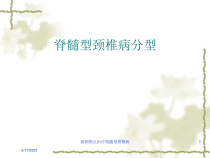 射频靶点治疗精髓型颈椎病课件