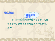 糖代谢医学知识课件