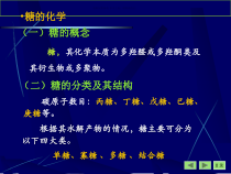 糖代谢-医学知识课件