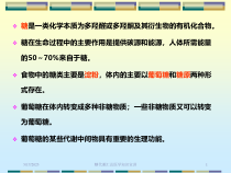 糖代谢汇总医学知识宣讲培训课件