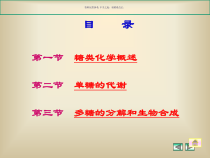 糖类代谢主题医学知识课件