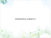 疼痛基础理论及镇痛治疗实用版课件