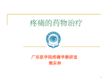 疼痛的药物治疗麻醉性镇痛药-课件