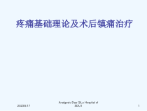疼痛基础理论与镇痛治疗课件