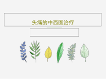 头痛的中西医治疗共52张课件
