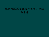 晚期NSCLC整体治疗策略现状与未来课件