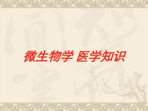 微生物学-医学知识培训课件