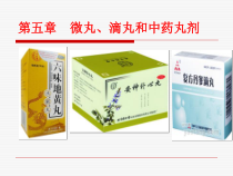 微丸滴丸和中药丸剂的医学概述课件