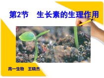 生长素的生理作用医学知识课件