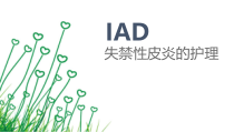 失禁性皮炎医学课件
