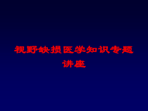 视野缺损医学知识专题讲座培训课件