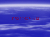 手部感染医学知识培训课件