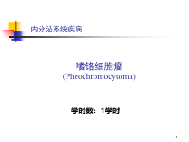 嗜铬细胞瘤医学课件