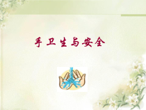 手卫生医学课件
