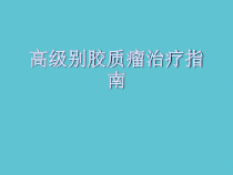 授课用_高级别胶质瘤治疗指南课件