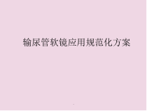 输尿管软镜应用医学课件