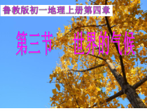 《第四节 世界的气候》PPT课件2-鲁教版（五四制）地理六年级上册