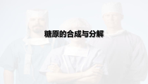 糖原的合成与分解终极版医学课件