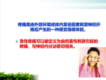 疼痛的机制及治疗培训课件