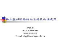 体外放射配基结合分析与临床应用课件