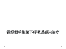 铜绿假单胞菌下呼吸道感染治疗课件