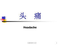 头痛的病因与治疗课件